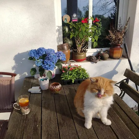 Vakantieboerderij Rawiczowka